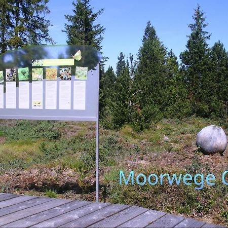 Ferienwohnung Schoene Auszeit Oy-Mittelberg Εξωτερικό φωτογραφία